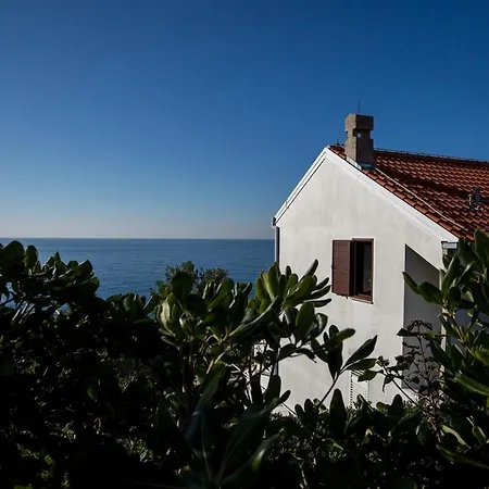 White Luxury With Seaview Apartment Dubrovnik